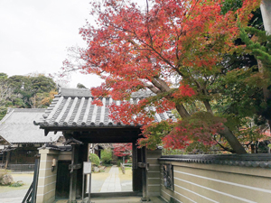 浄光明寺