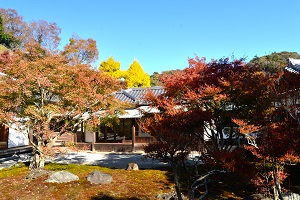 長寿寺紅葉