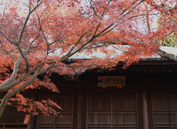 長勝寺