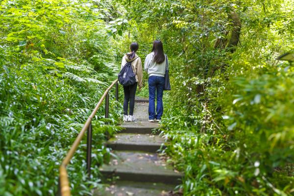 ハイキングコースの入口に立つ女性二人の後ろ姿の写真