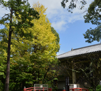 鶴岡八幡宮　国宝館