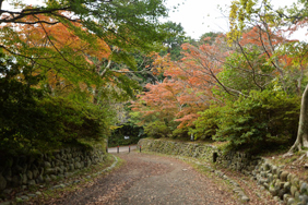 源氏山公園