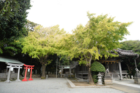 小動神社