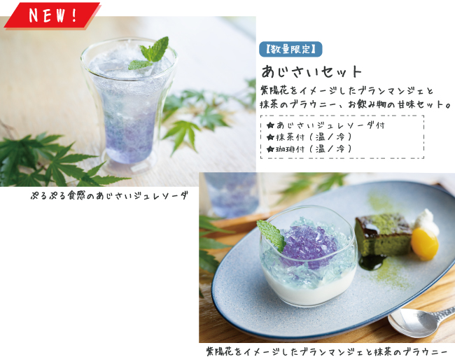 風の杜（あじさいセット）