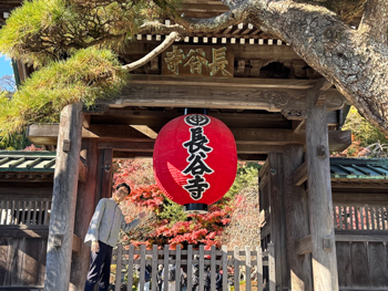 Japanese Cultural Experience Kamakura