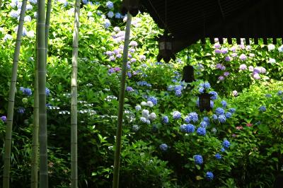長谷寺0626