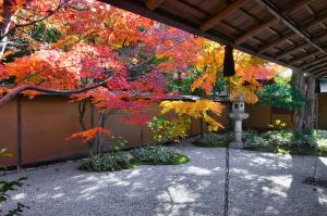 一条恵観山荘の紅葉​