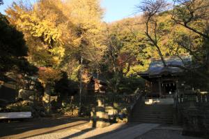 御霊神社の紅葉
