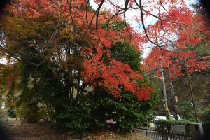 永福寺跡20251216