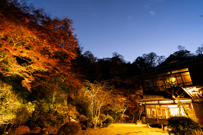 Sasho