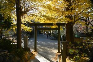 葛󠄀原岡神社20251208