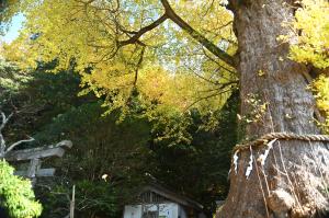 荏柄天神20251208